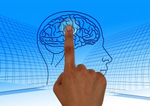 Neurotransmitters - brein- brain