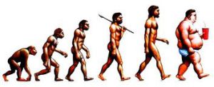 Evolutie mens