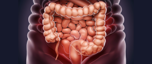 Colon